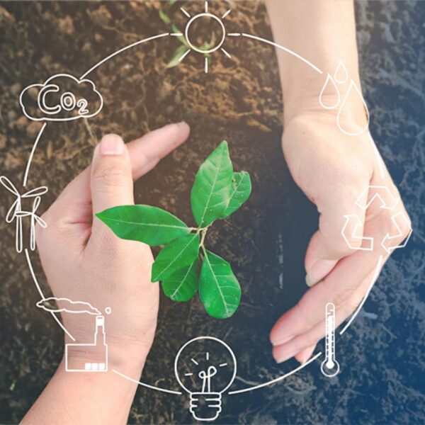 surdurulebilirlikndr-ara-gorsel-1536×1000-1 surdurulebilirlikndr-ara-gorsel-1536x1000-1